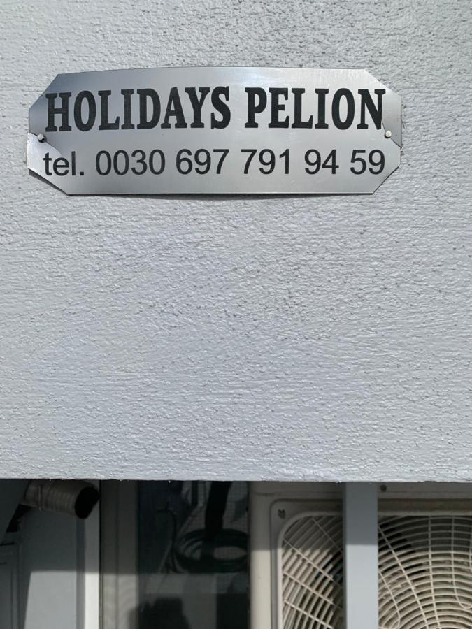 Holidays Pelion Studio Néa Ankhíalos エクステリア 写真